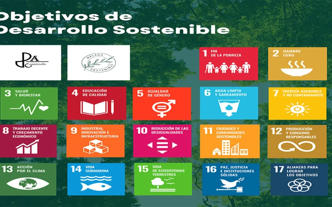 ¿Qué son los Objetivos de Desarrollo Sostenible?