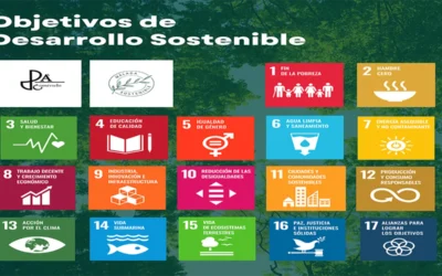 ¿Qué son los Objetivos de Desarrollo Sostenible?