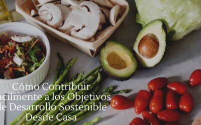 Cómo contribuir a los Objetivos de Desarrollo Sostenible desde casa