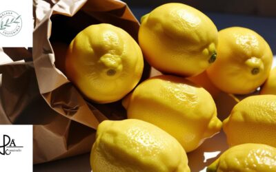 Ley de Desperdicio Alimentario 2025 y su impacto en el Sector HORECA